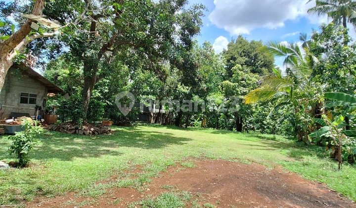 Kavling Luas dan Murah di Jagakarsa Jaksel. Cocok untuk Cluster