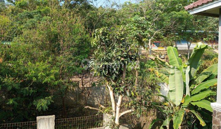 Di jual villla sejuk nyaman di puncak bogor 2