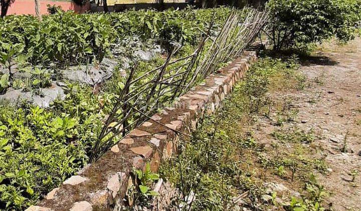 Tanah di Panorama Lembang Siap Bangun Untuk Rumah Villa  2