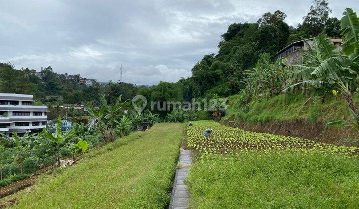 Tanah Royal Palm Sayap Setiabudi Kotamadya Bandung 1