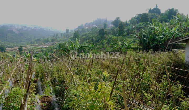 Tanah Strategis Di Setiabudi Cocok Untuk Glamping View Bagus 2