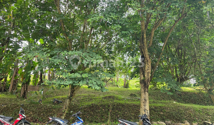 Kavling Resort Dago Pakar Lokasi Tenang dan Premium