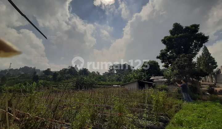 Tanah Harga Murah Untuk Resort Wisata di Setiabudi Tanah Harga Murah Untuk Resort Wisata di Setiabudi