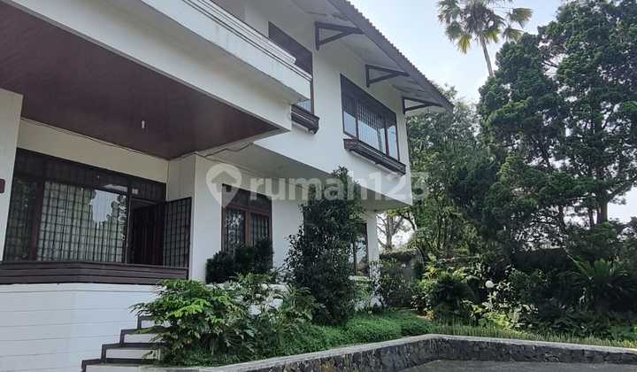 Rumah di Setiabudi Sudah SHM Luas Tanah Besar Lokasi Tenang Dekat Kawasan Wisata Rumah di Setiabudi Sudah SHM Luas Tanah Besar Lokasi Tenang Dekat Kawasan Wisata