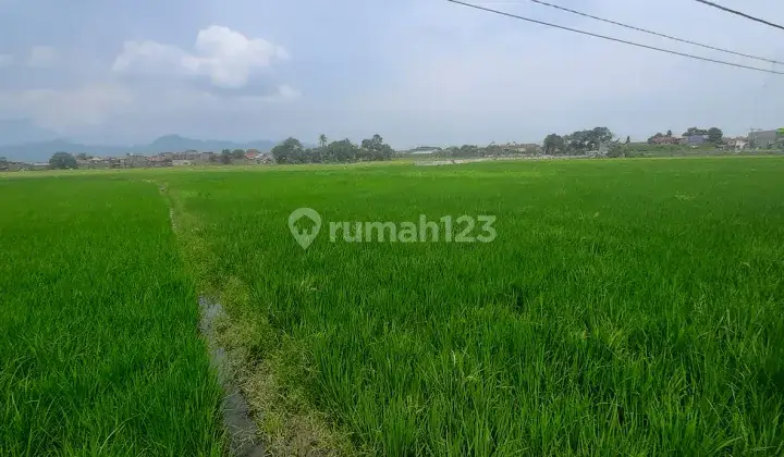 Harga Investor, Tanah Industri di Tegal Luar, Sapan 1