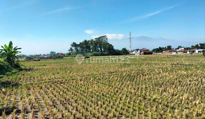 Jarang Ada kavling lokasi strategis cocok untuk buat kampus sekali 300m dekat Pemkab 2