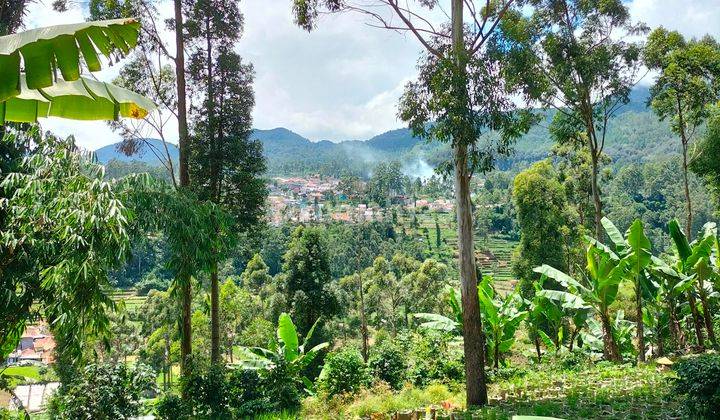 Kavling Ciwidey atas bukit Pemandangan Keren  1