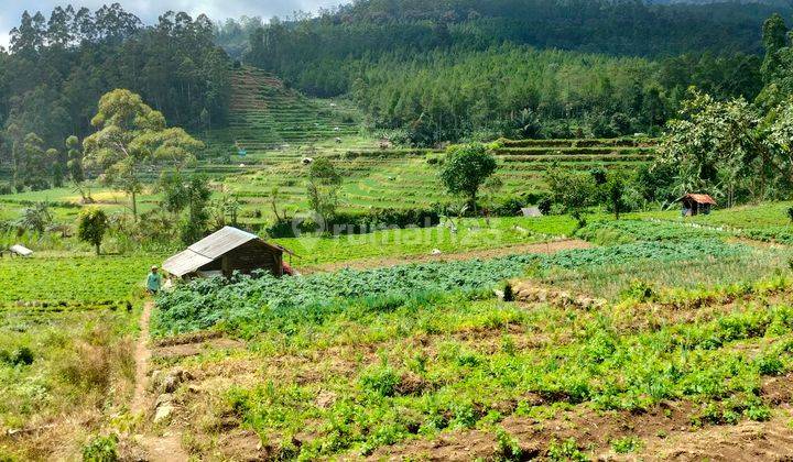 Kavling dengan pemandangan super sangat  keren 2