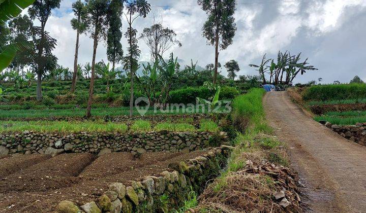 Kavling cocok untuk bangun villa dengan pemandangan bagus sekali 2