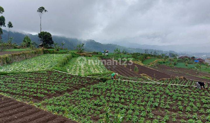 Kavling bisa bangun villa pinggir jalan dengan pemandangan bagus 1