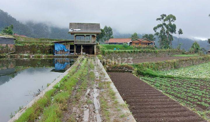 Kavling bisa bangun villa pinggir jalan dengan pemandangan bagus 2