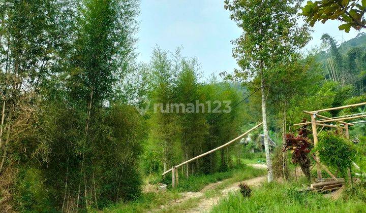 Lokasi di jalan mainroad jalan raya ciwidey pasirjambu 2