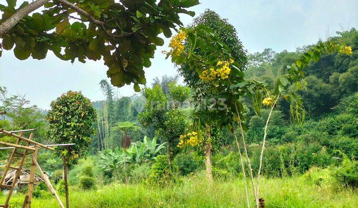 Lokasi di jalan mainroad jalan raya ciwidey pasirjambu 2