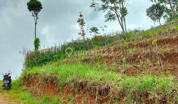 Kavling untuk berkebun dengan pemandangan bagus 1