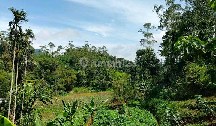 Sewa Lahan Untuk Perkebunan Murah Mdpl 1171 1