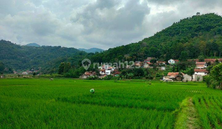 View Bagus Dan Di Mainroad Jalan Raya Utama