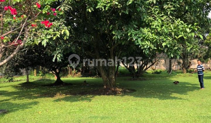 Beautiful, Lush, Well-Maintained Plots and Villas