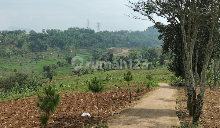 Pemandangan Bagus Mdpl Di 1100 Tanah Subur 1