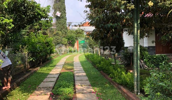 Beautiful, Lush, Well-Maintained Plots and Villas