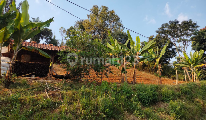 Kavling Siap Bangun Upslope di Dago Buniwangi View Kota Bandung