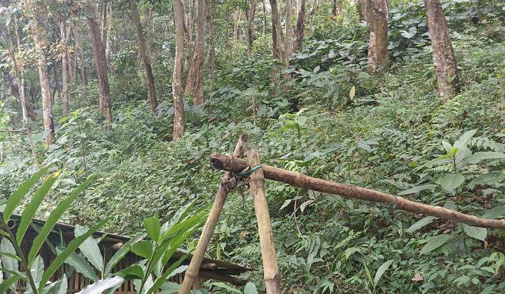 Tanah Kavling di Jalan Raya Cinangsi Cikalong Kulon, Cianjur  2