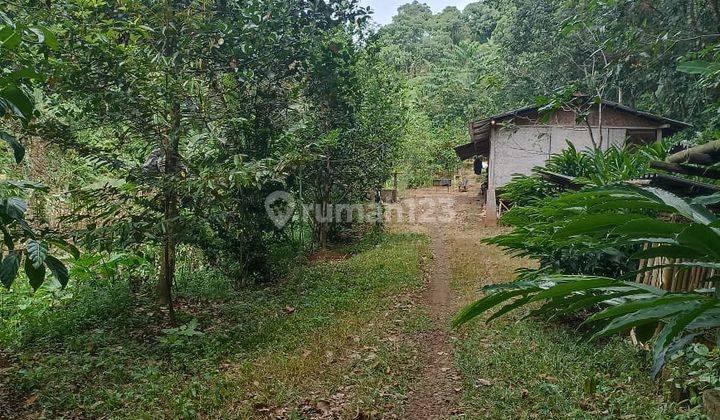 Tanah Kavling di Jalan Raya Cinangsi Cikalong Kulon, Cianjur  1