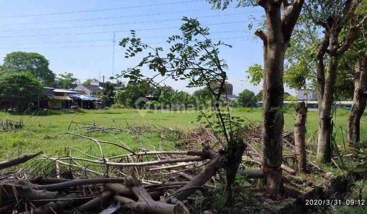 Dijual Murah Kavling Luas Di Jl. Perum Bumi Cikampek, Karawang 5