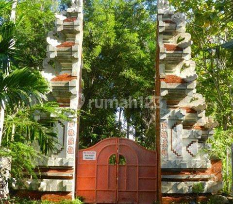 Dijual Tanah Luas Di Pantai Buntong, Tateli Sulawesi Utara 7