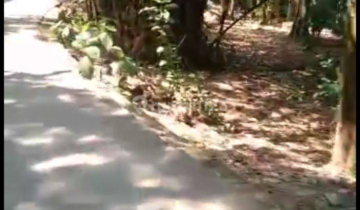 Tanah datar didesa serpong - kelurahan serpong -  Tangsel