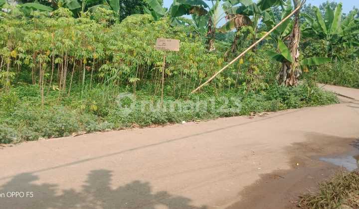 Tanah siap bangun nempel jalan desa.
