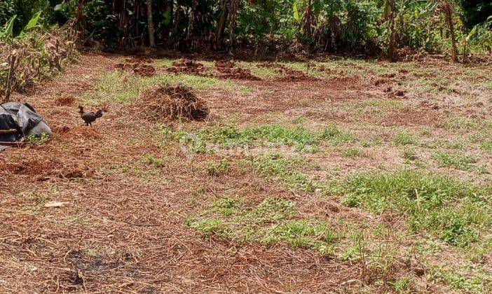 Dijual lahan kosong cocok untuk perumahan cluster 2