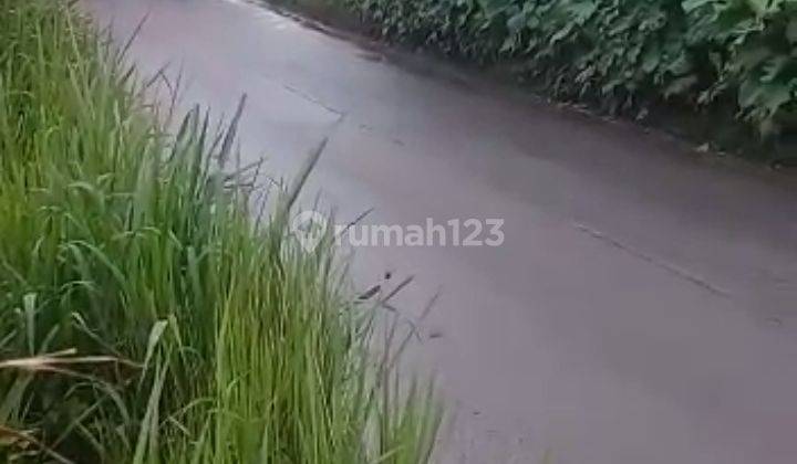 Disewakan lahan kosong pinggir jalan propinsi kondisi rata dan padat 1