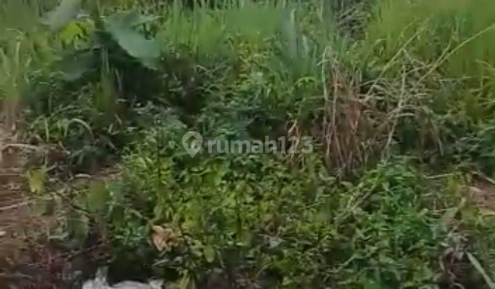 Disewakan lahan kosong pinggir jalan propinsi kondisi rata dan padat 2