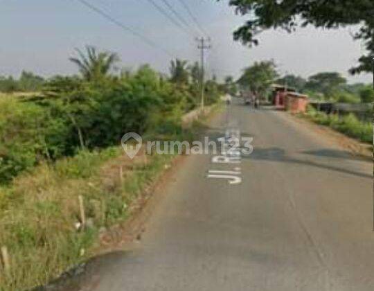 Dijual tanah darat kondisi padat berbentuk tanah lapangan 1