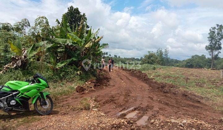 Tanah setrategis harga paling murah dikawasan pergudangan 1