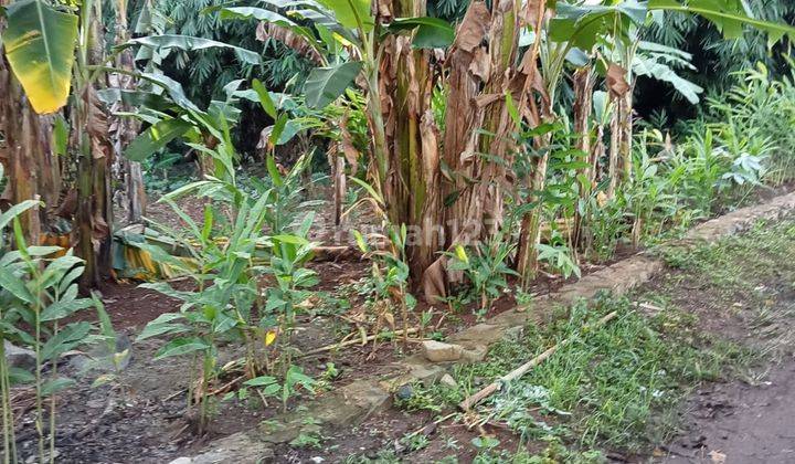 Jual lahan kosong dilingkungan masih asri 1