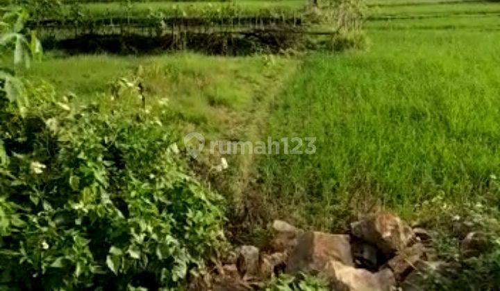Jual tanah pinggir jalan propinsi lokasi strategis 3