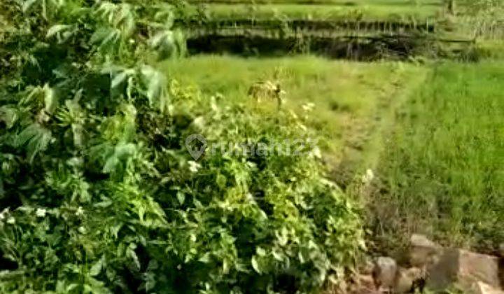 Jual tanah pinggir jalan propinsi lokasi strategis 5