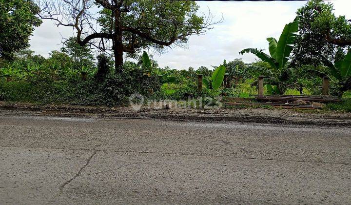 Dijual tanah zona industri citeras - cikande 1