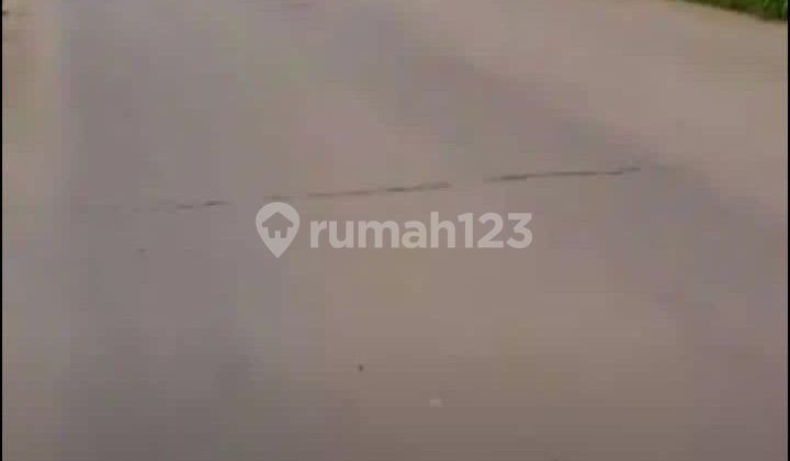 For quick sale: vacant land by the provincial roadside. For quick sale: vacant land by the provincial roadside.