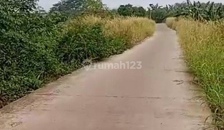 Dijual tanah darat dengan view danau,kondisi rata 1