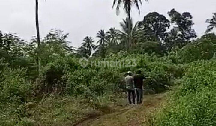 Dijual tanah darat lokasi strategis dikawasan pergudangan. 2