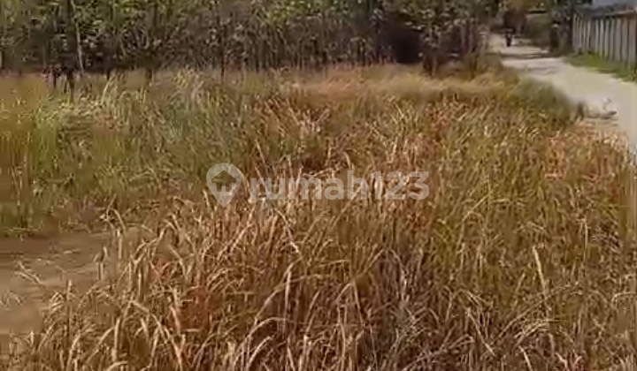 Dijual Lahan Kawasan Industri Cileles - Tigaraksa