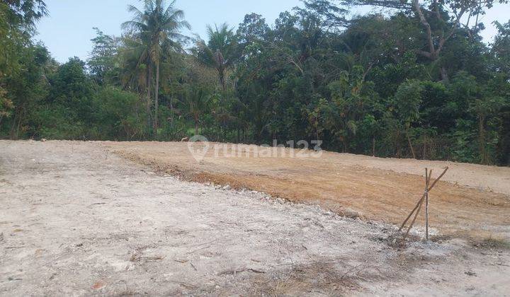 Rumah SHM di Jln provinsi dekat kampus umy bisa KPR  1