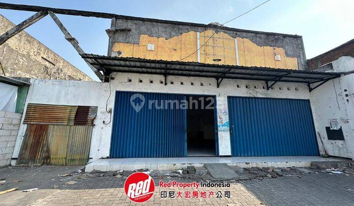 Ruko Kantor 500 M Bagus SHM Majapahit Semarang 1