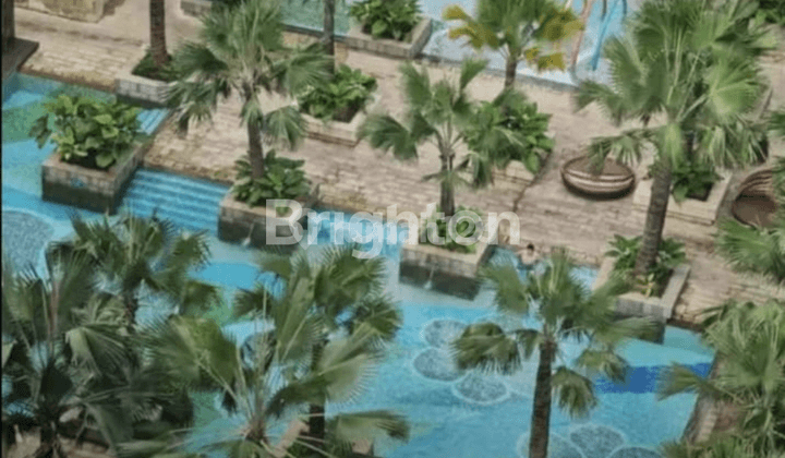 Taman Anggrek Residence TA Res Daffodil lantai sedang unit sudut view Pool 2