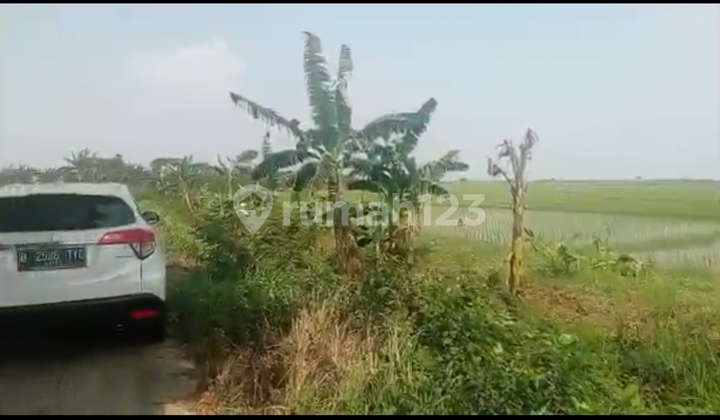 Tanah Kavling Siap Bangun Atau Tanah Darat Kavling