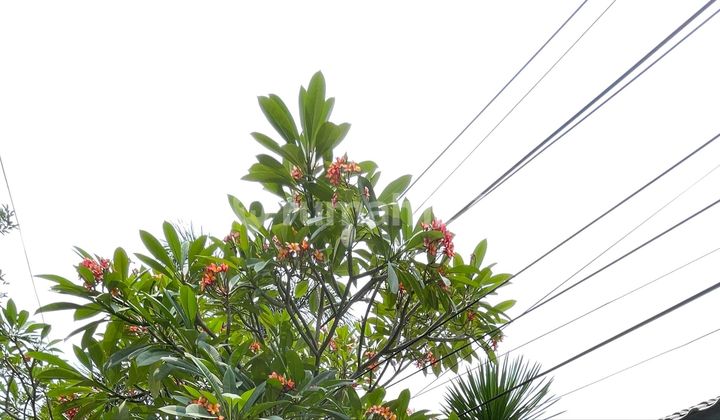 Ready-to-Occupy House for Rent, Two Floors in Ligamas Pancoran Complex 2