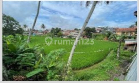 Rumah Hitung Tanah Dijual Via Lelang Kahan Besar . 2