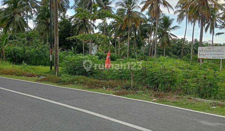 Tanah Darat Dipantai Obyek Wisata Batukaras Kabupaten Pangandaran 1